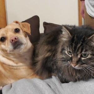 Meet your Posher, Tonya